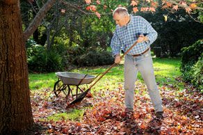 Gardening photo.